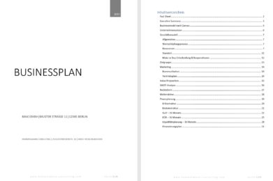 Inhaltsverzeichnis Businessplan